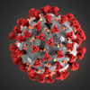 Image of  Inaccurate PCR test results at Wolverhampton laboratory