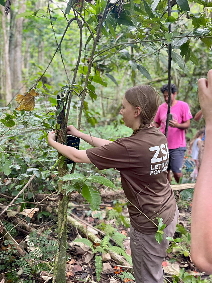 A London Zoo worker working with Partula snails surrounded by trees.