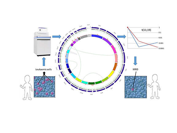 Figure 1: Application of whole genome sequencing in practice.   This schematic shows the application of a whole genome sequence from a patient’s leukaemia. The central plot (a Circos plot) is used to 