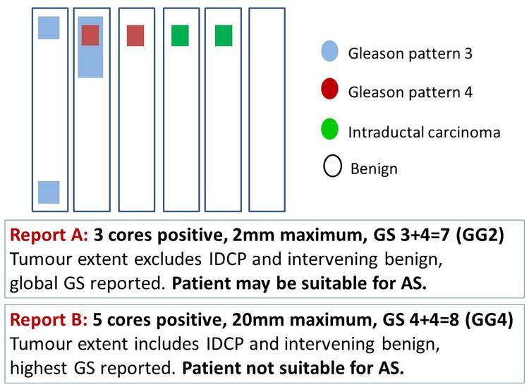 Figure 1.jpg