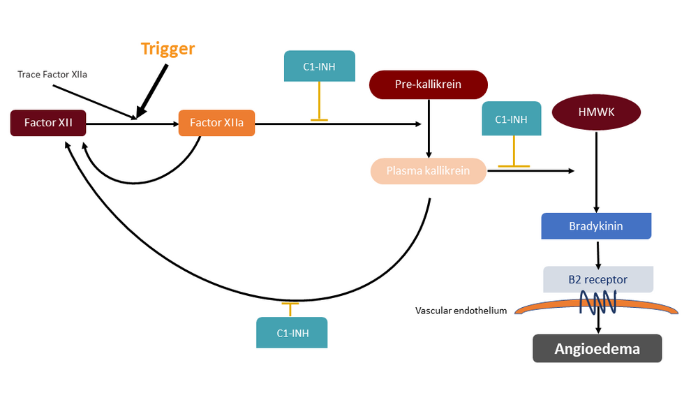 Hilary Longhurst_CRISPR_Fig1.PNG