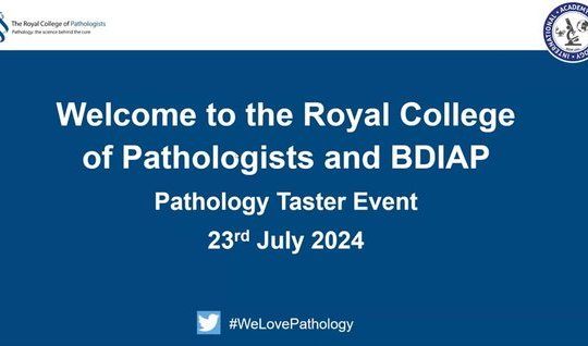  RCPath/BDIAP Taster Event 2024