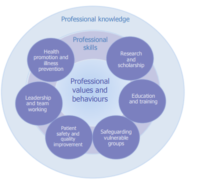 Map of Generic Professional Capabilities