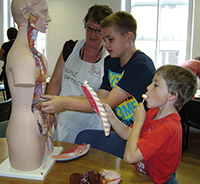 NPY Thackray Medical Museum