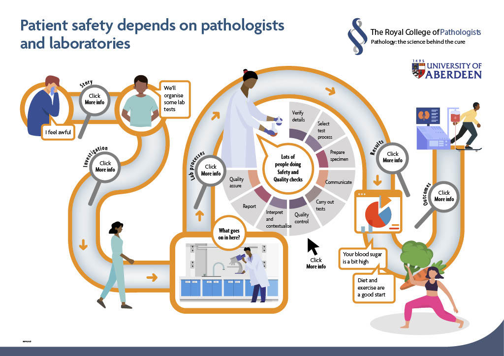 Patient Safety flowchart _ Peter Johnston1024_1.jpg