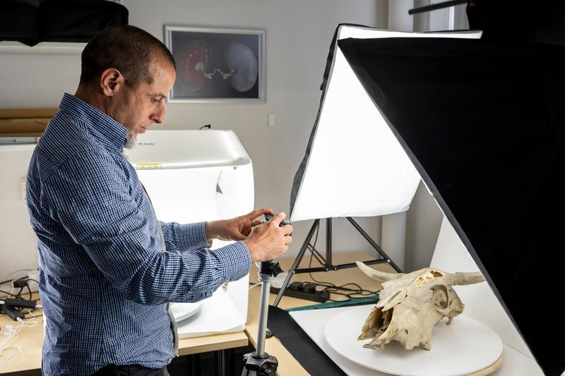 Veterinary lecturer takes a photograph of an animal skull specimen 