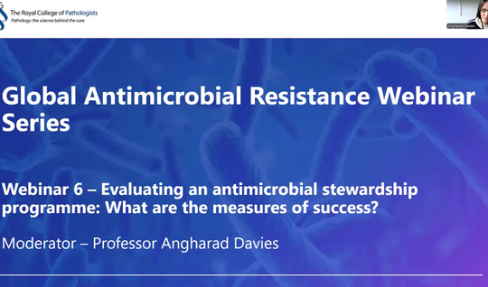 Evaluating an antimicrobial stewardship programme